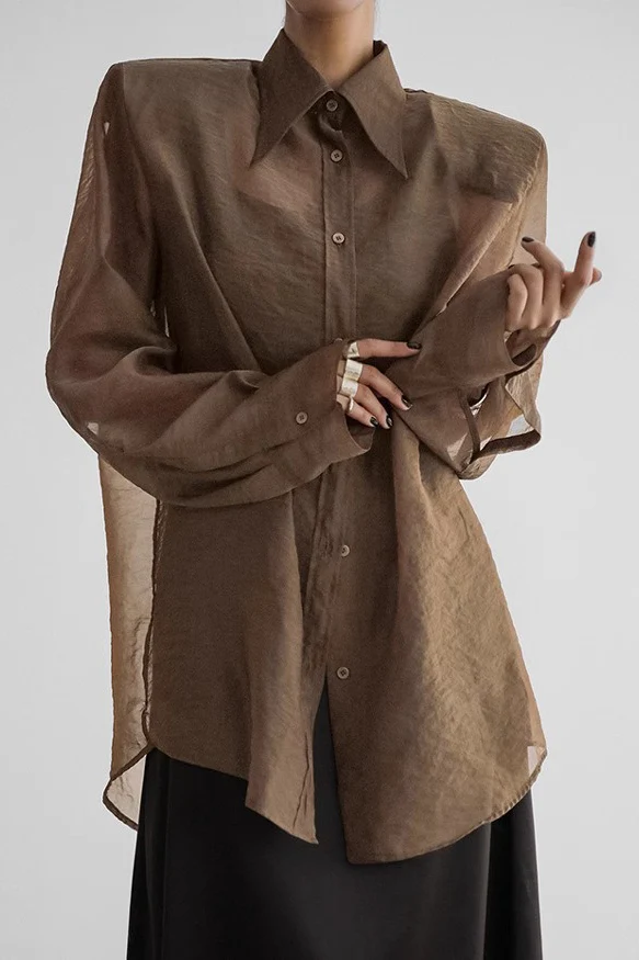 Elegant Sheer Long Sleeve Blouse - Image 5