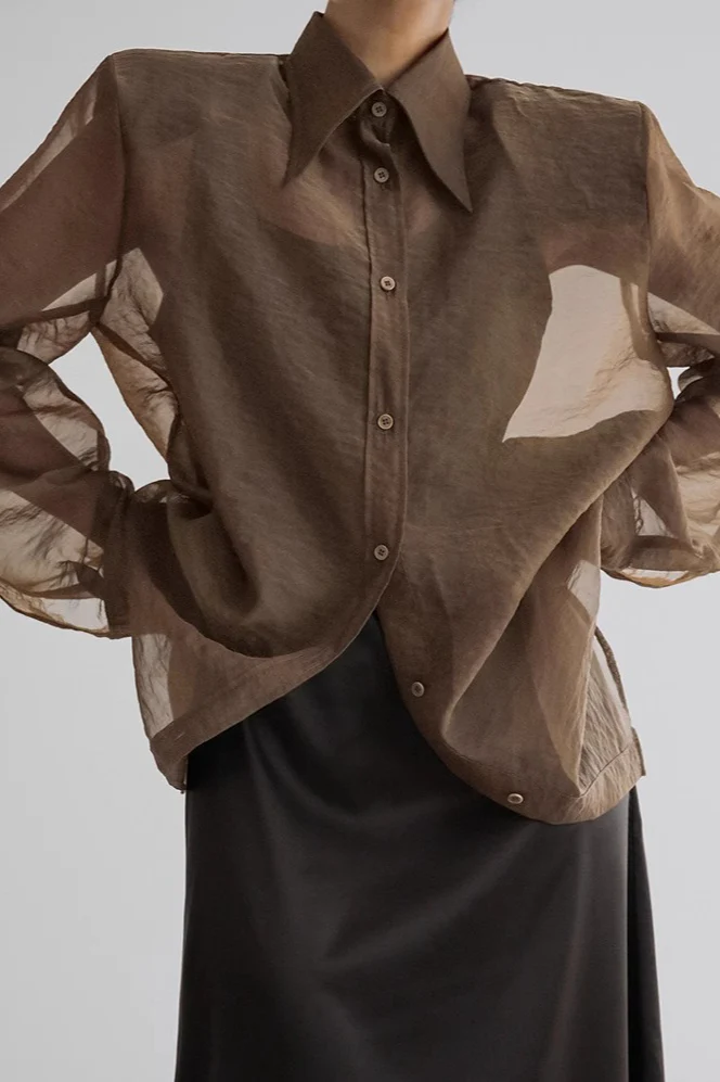 Elegant Sheer Long Sleeve Blouse - Image 6