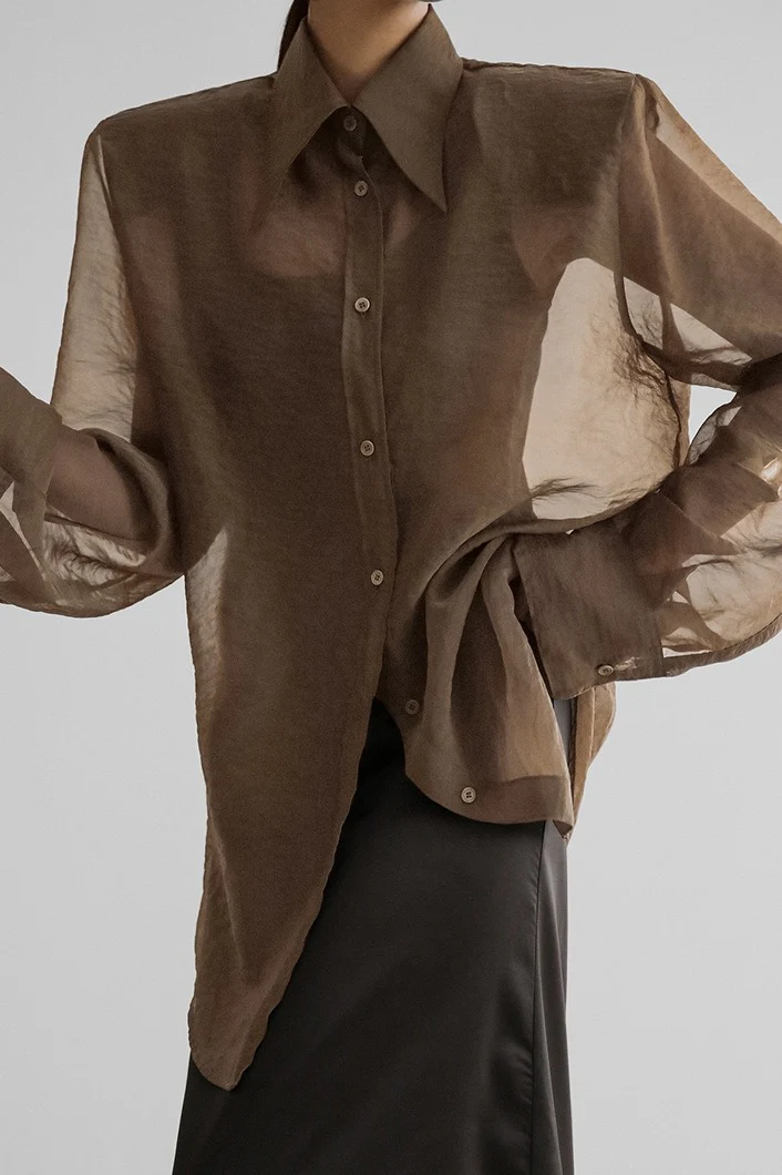 Elegant Sheer Long Sleeve Blouse - Image 7