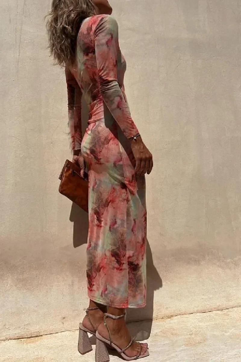 Skinny Mesh Long Sleeve Split Spring/Summer Print Slim Fit Elastic Maxi Dress - Image 4