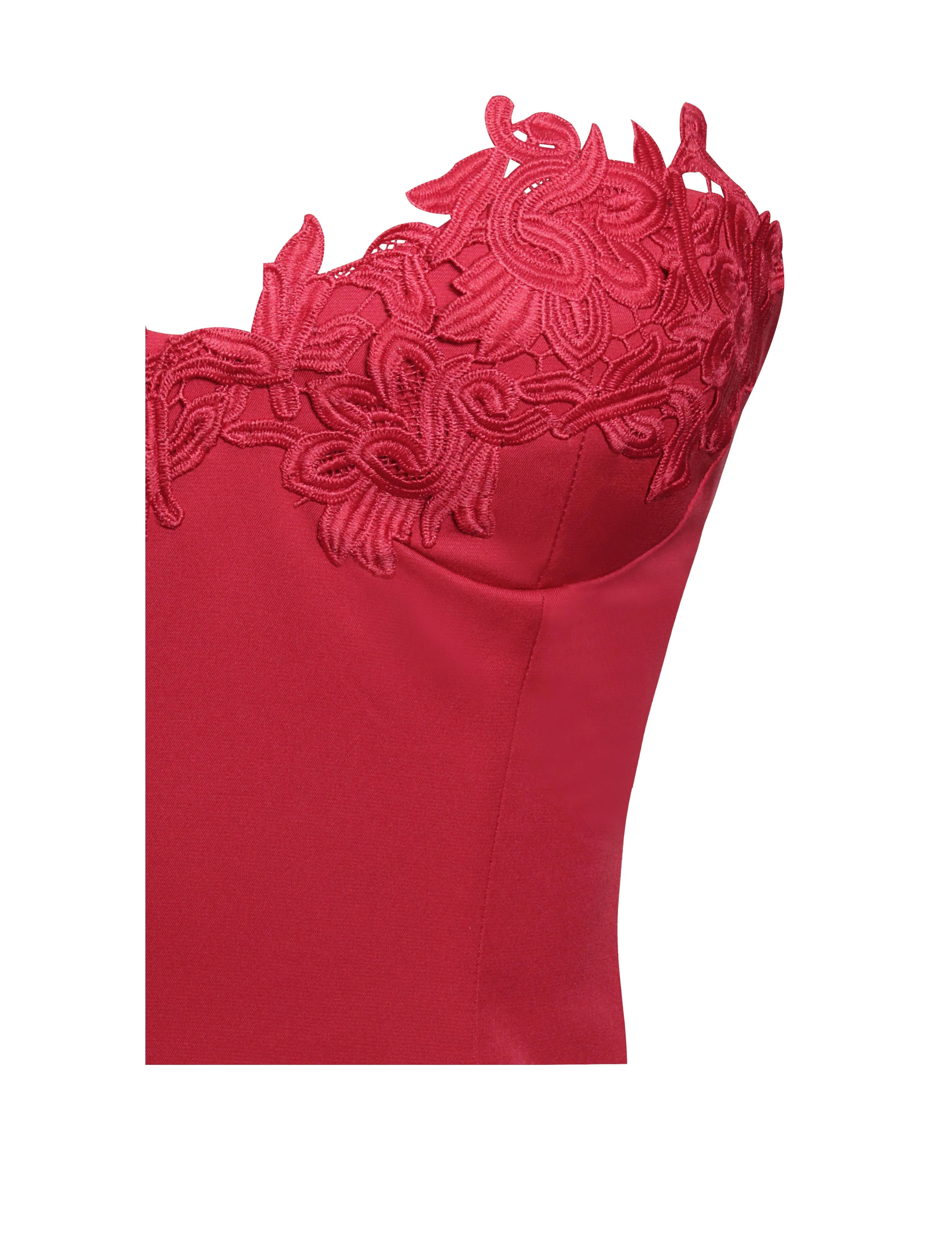 Sacha Red Lace Drop Graceful Waist Corset Puffy Mini Dress - Image 13