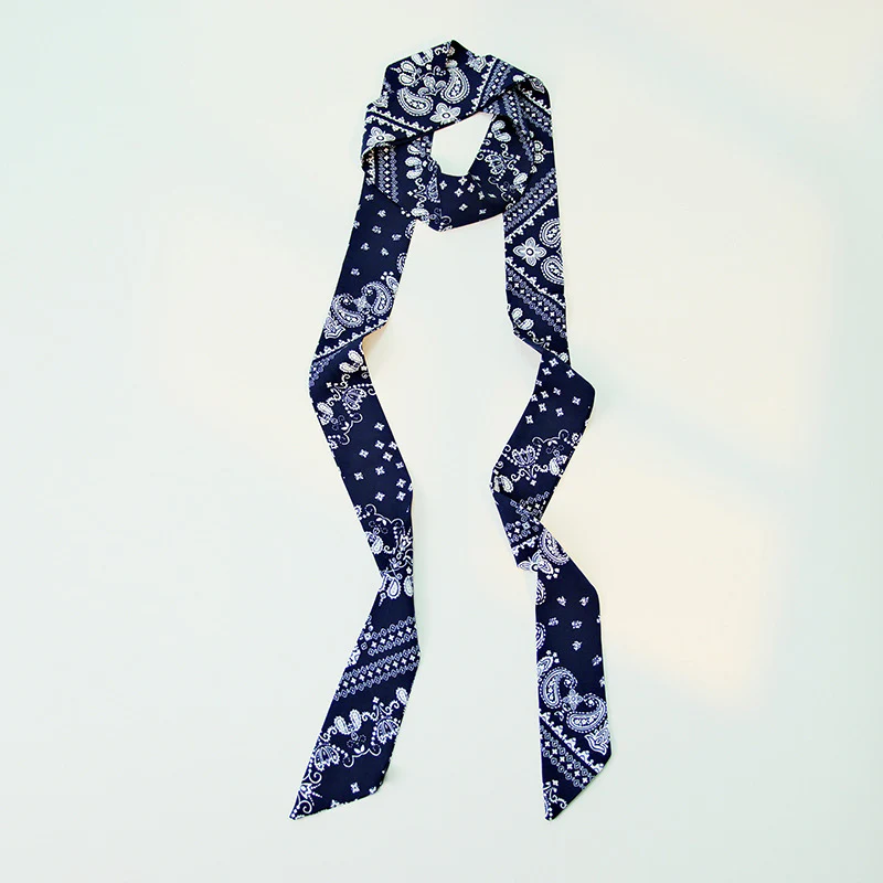 Paisley Print Skinny Narrow Neck Ribbon Scarf - Image 2