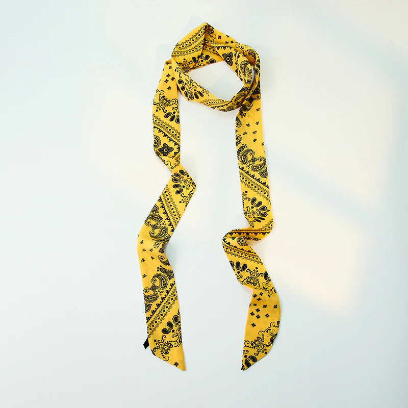 Paisley Print Skinny Narrow Neck Ribbon Scarf - Image 3