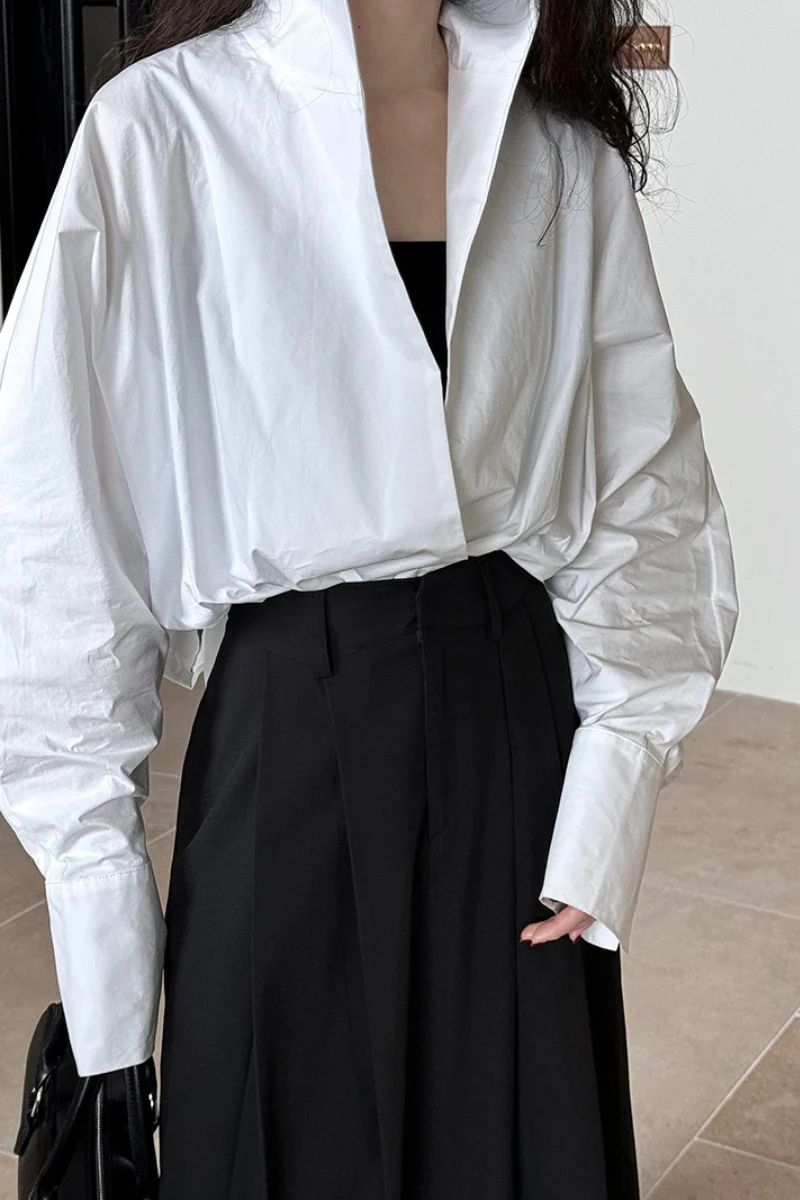 Stand Collar Deep V Layering Blouse - Image 3