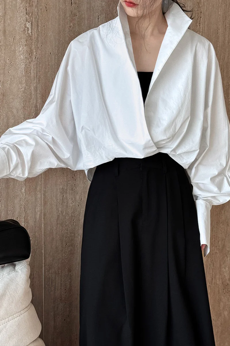 Stand Collar Deep V Layering Blouse - Image 4