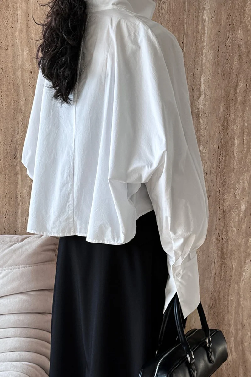 Stand Collar Deep V Layering Blouse - Image 6
