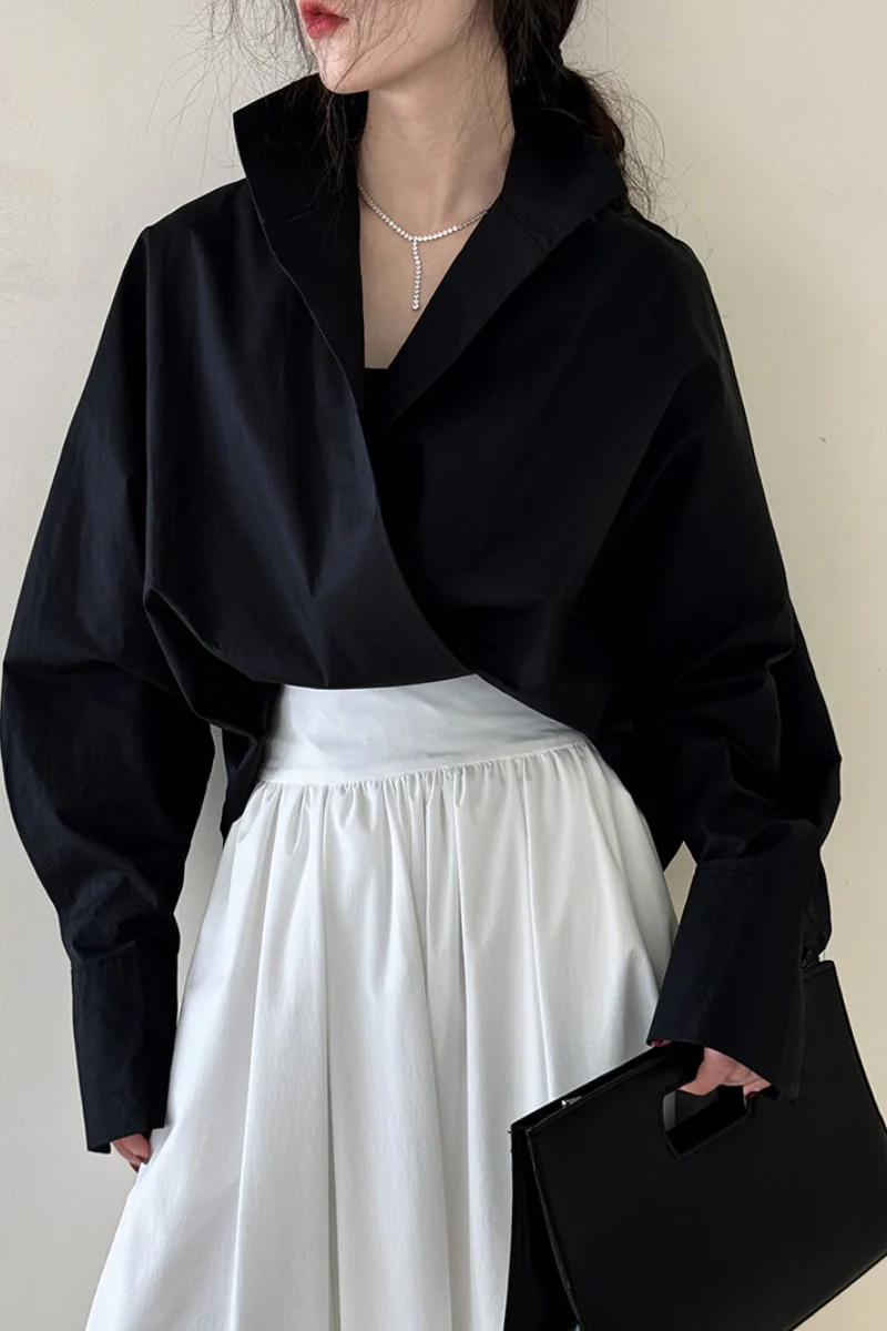 Stand Collar Deep V Layering Blouse - Image 9